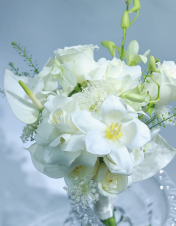 Quiet Elegance