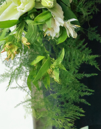 Veil of Dreams