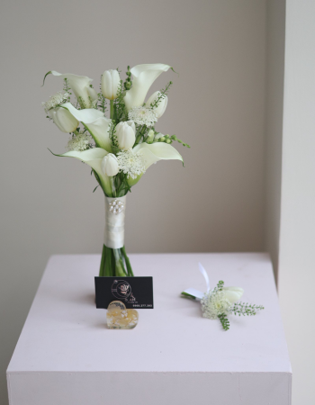 Calla Lily 