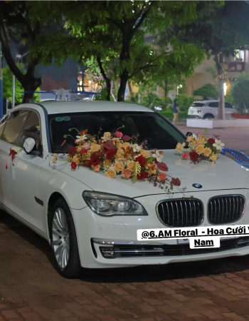 Trang Trí Cho Chiếc BMW 