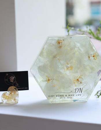 Việt Dũng & Như Lưu