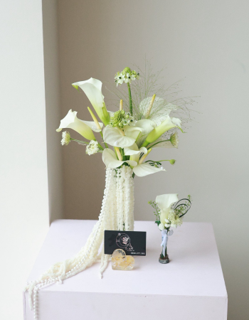 Chrysanthemum