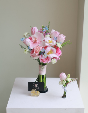 Alstroemeria