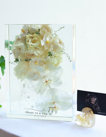Thanh Tú & Cẩm Tú