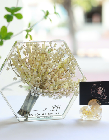 Công Lộc & Ngọc Hà