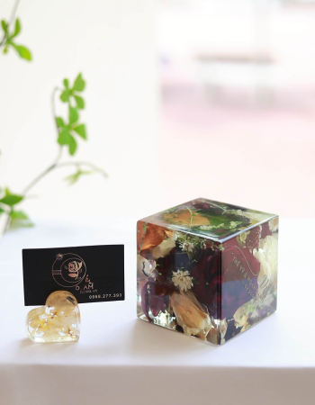 Thế Sỹ & Hoàng Anh
