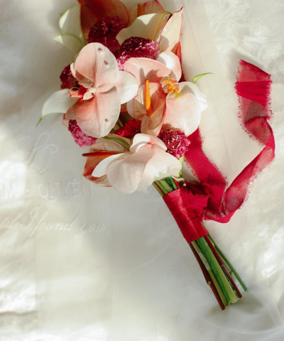 Cô Dâu Mỹ Quyên