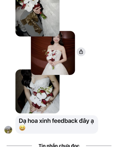 Cô Dâu Gia Hảo