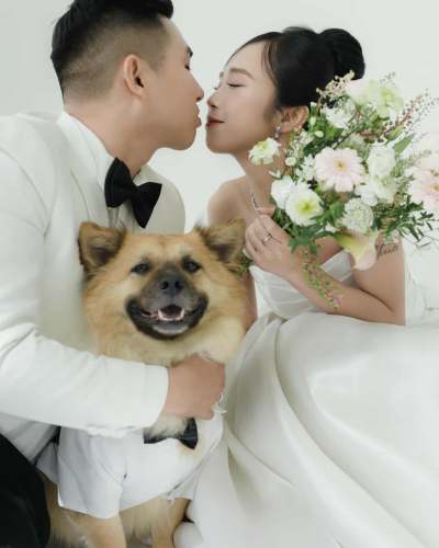 Cô Dâu Hoàng Yến