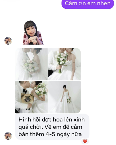 Cô Dâu Hoàng Yến