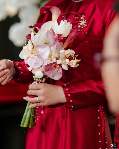 Cô Dâu Hải Trân