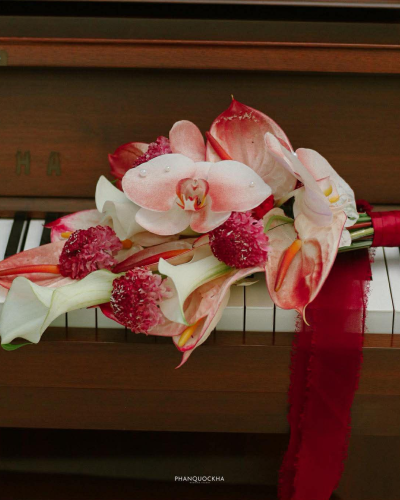 Cô Dâu Mỹ Quyên
