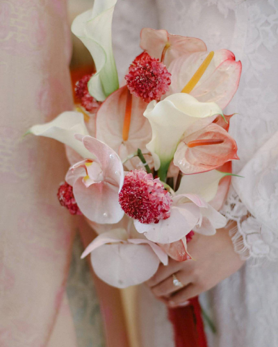 Cô Dâu Mỹ Quyên