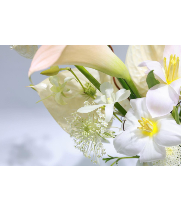 Dancing Petals