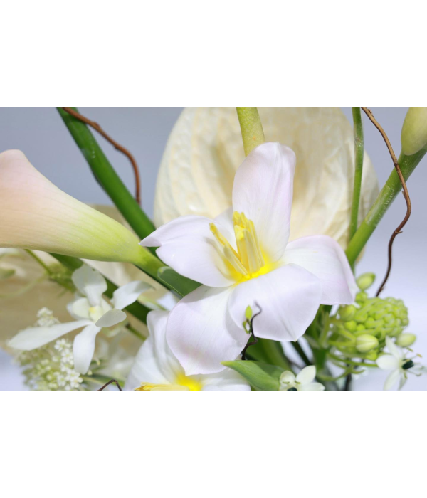 Dancing Petals