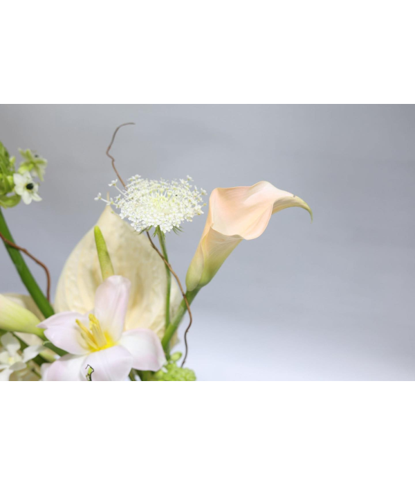 Dancing Petals