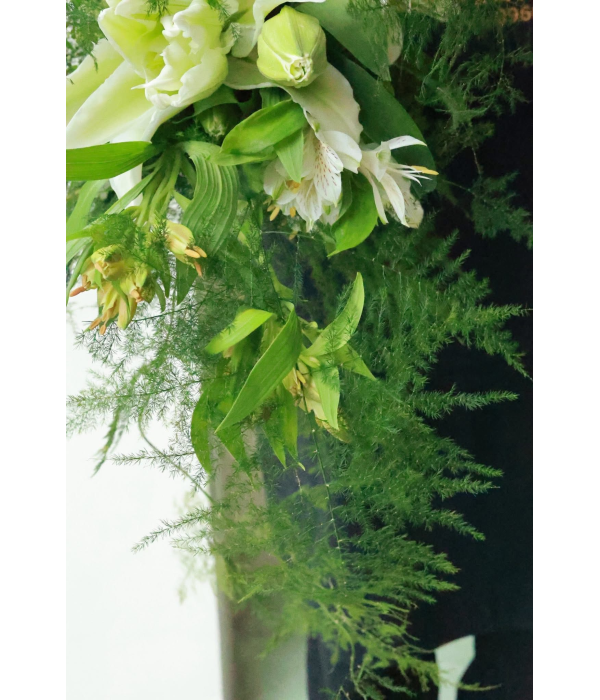 Veil of Dreams