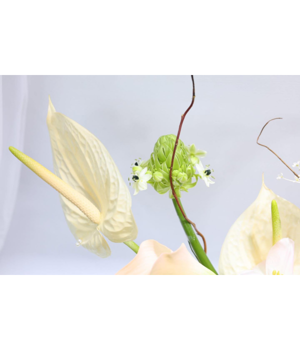 Dancing Petals