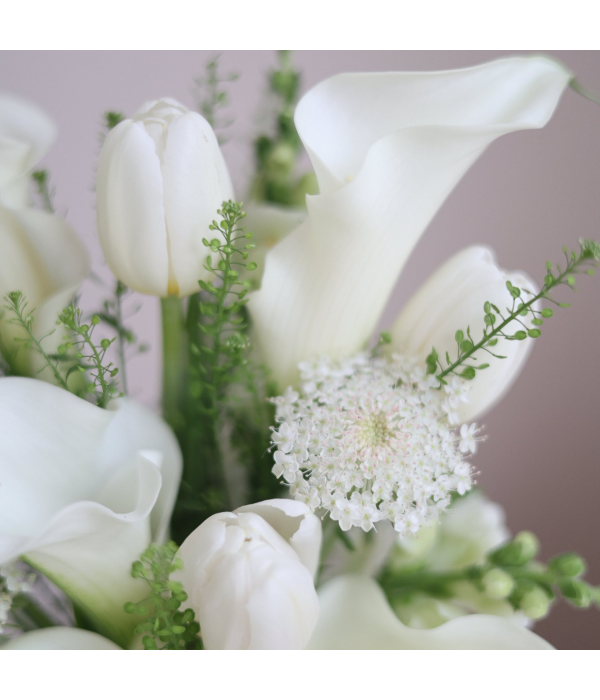 Calla Lily 
