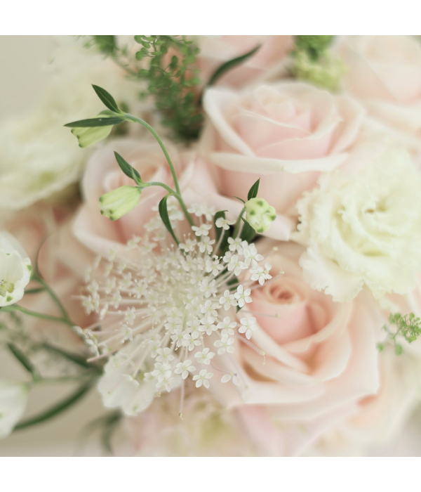Ivory Kiss