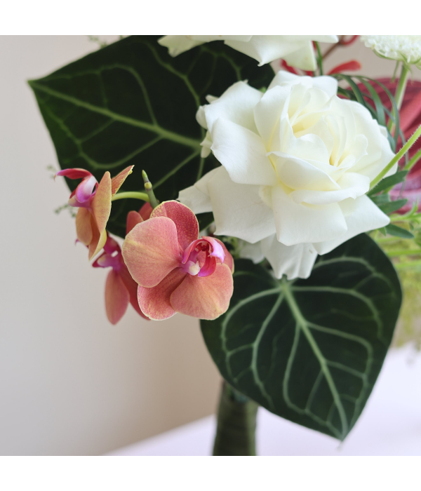 Serene Lustre