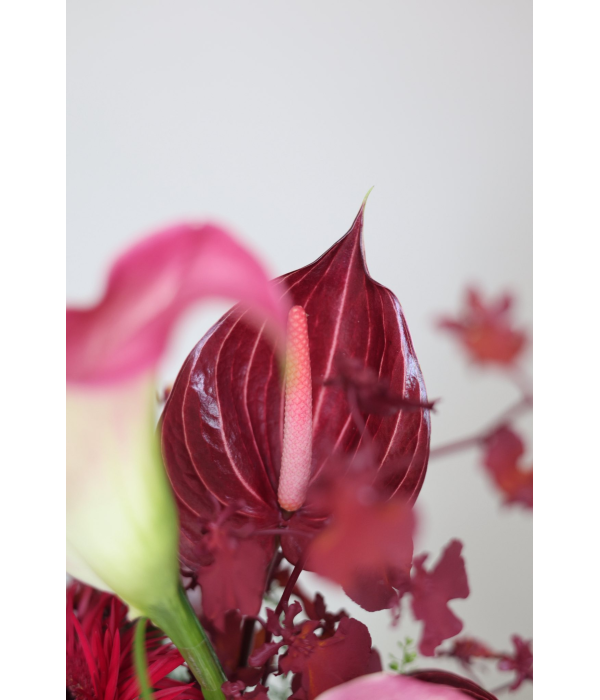 Crimson Flame