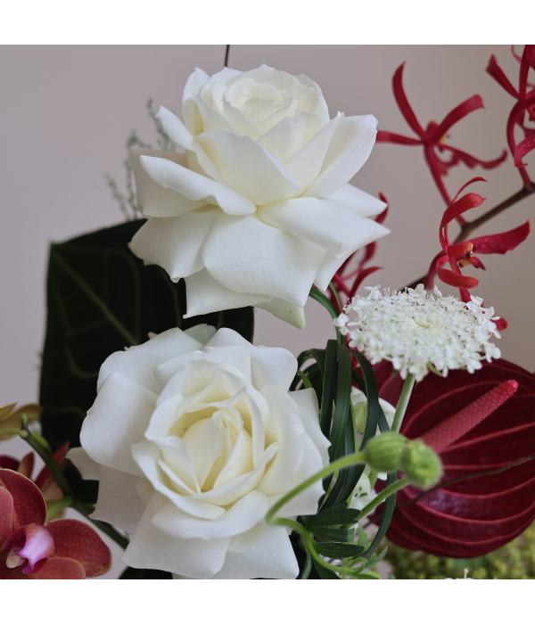 Serene Lustre
