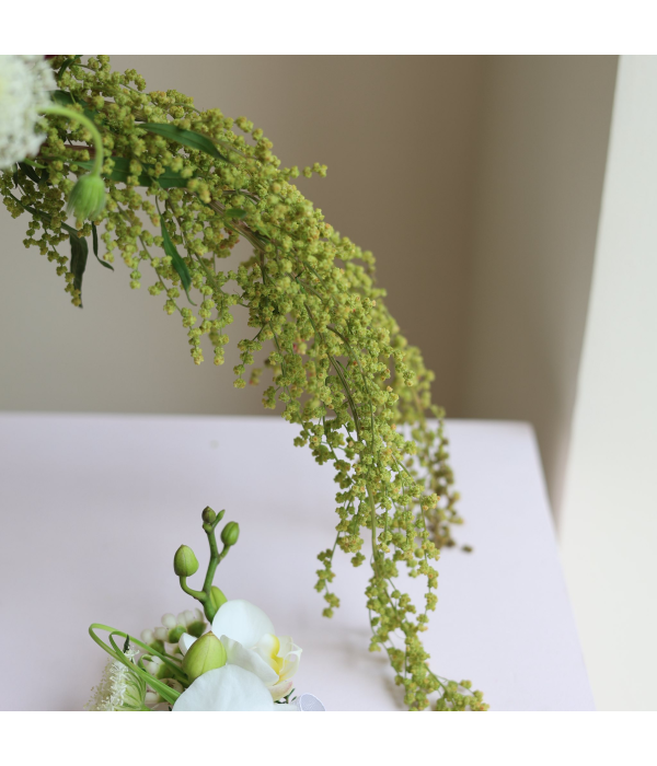 Serene Lustre
