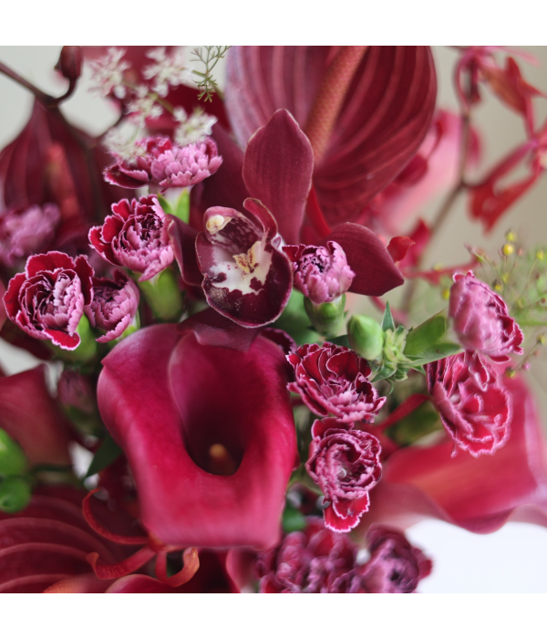 Crave Bloom