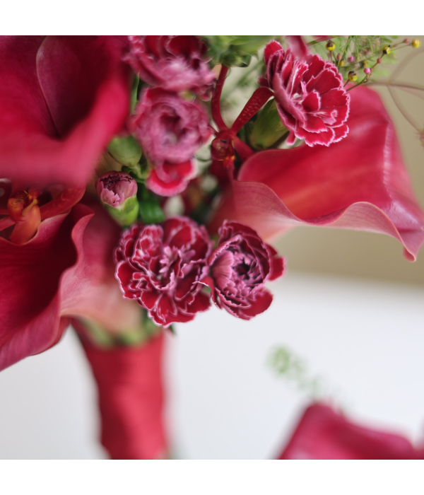 Crave Bloom