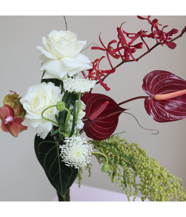 Serene Lustre