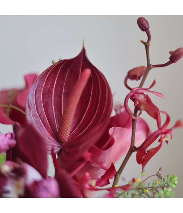 Crave Bloom