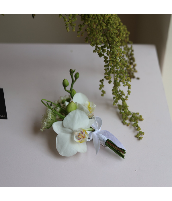 Serene Lustre