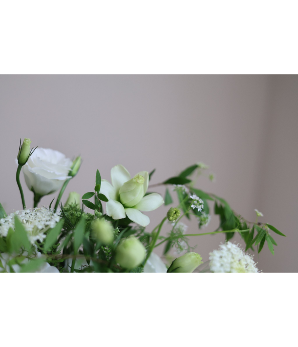BloomVault
