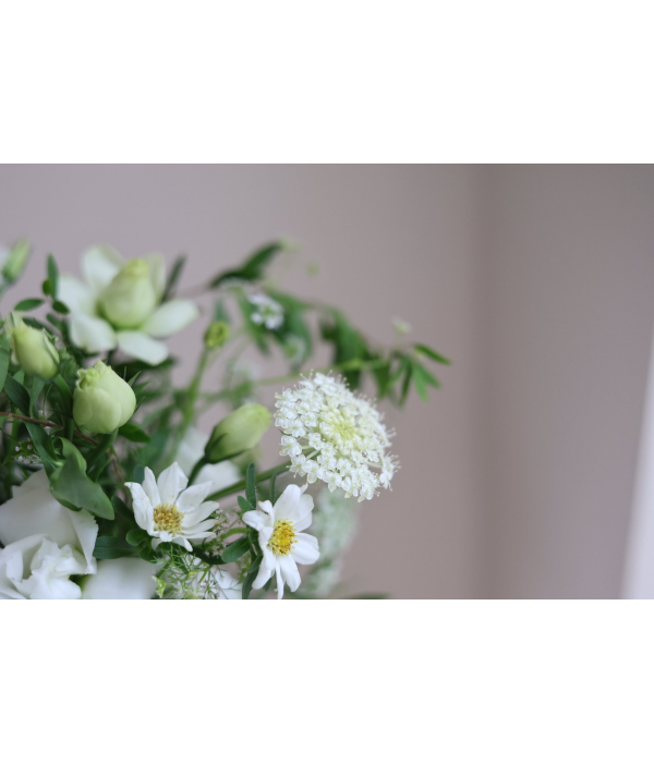 BloomVault