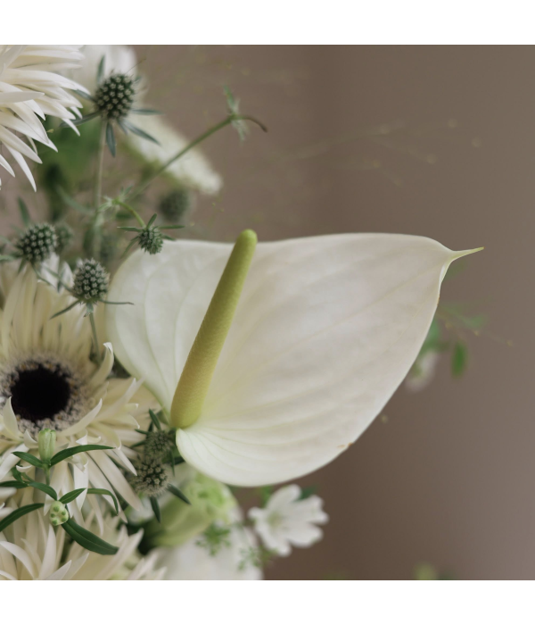 Lasting Grace