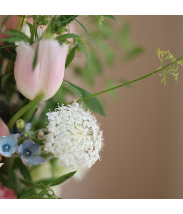Florvian