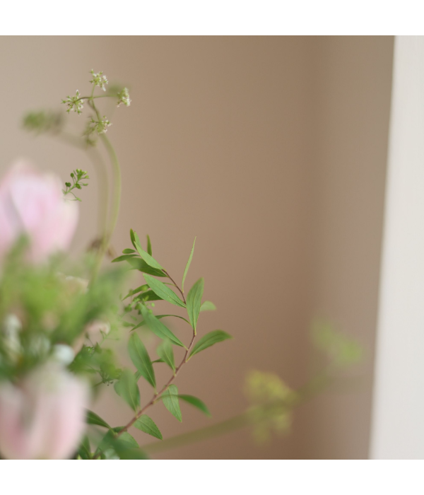 Florvian