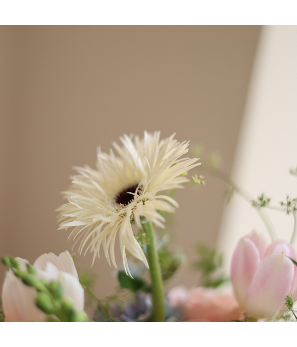 Florvian