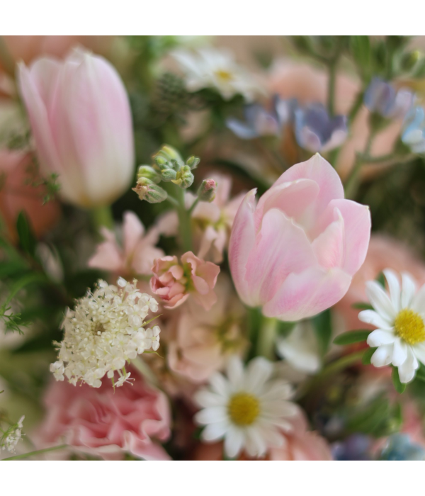 Florvian