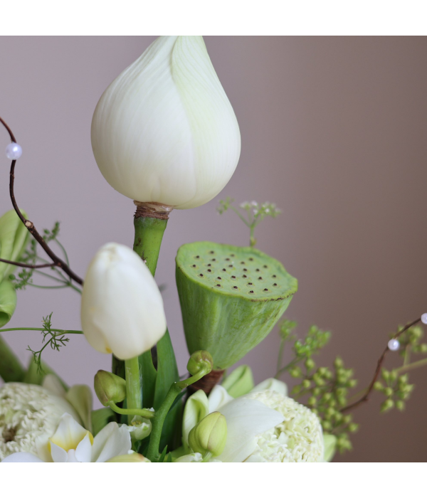 Velunéa