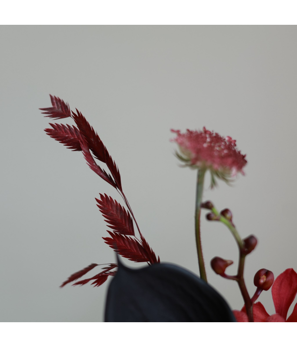 Everbloom
