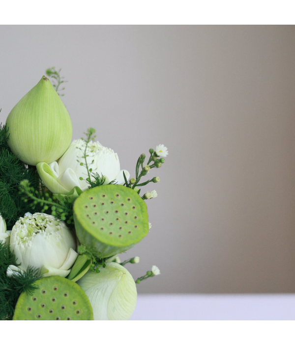 Ivory Bloom