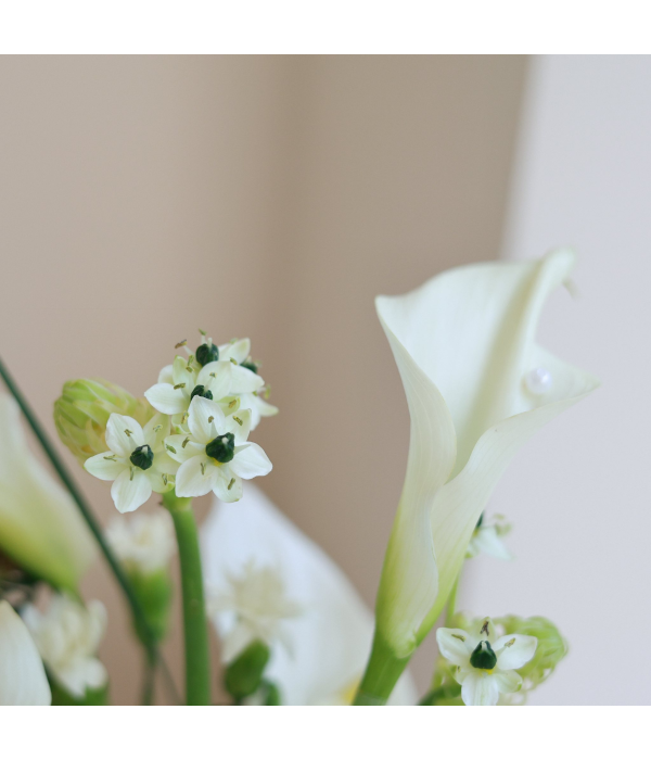 SnowPetal