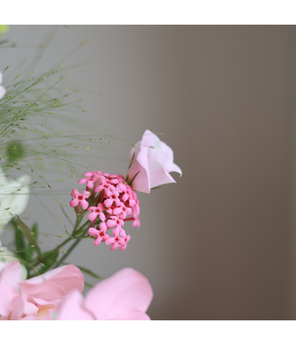 Blossaryn