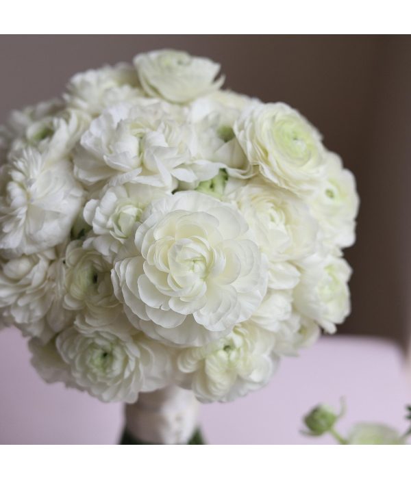 Floravia