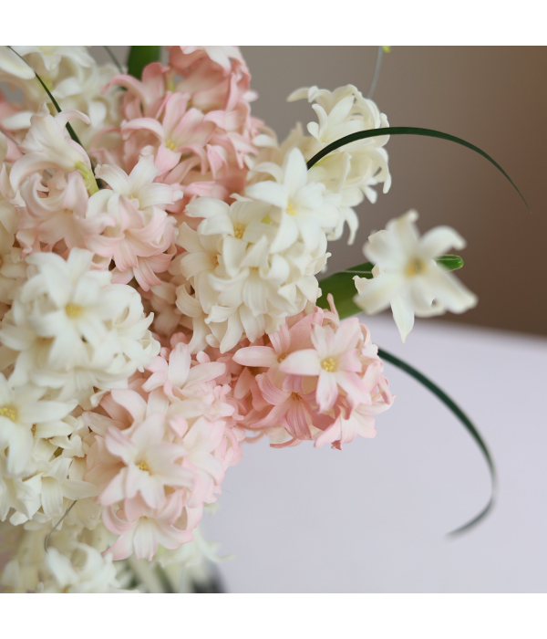 Bloomyra