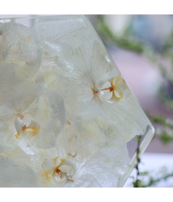 Việt Dũng & Như Lưu