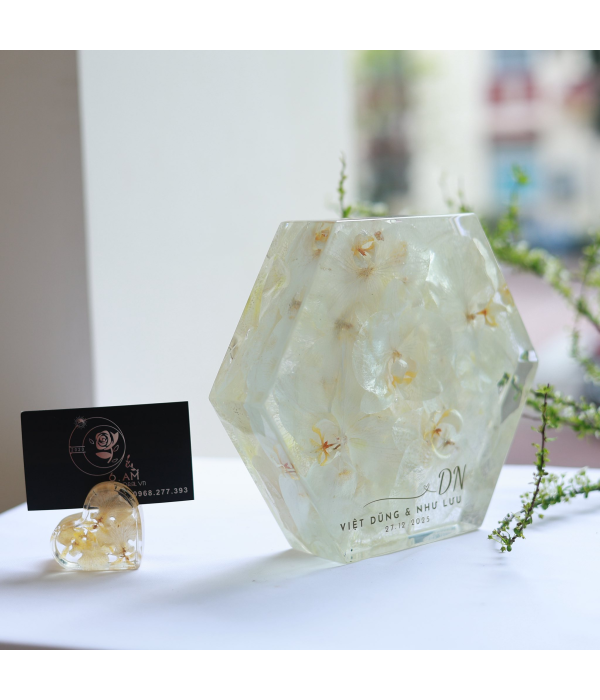 Việt Dũng & Như Lưu