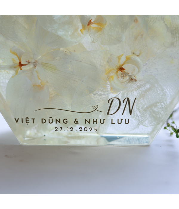 Việt Dũng & Như Lưu